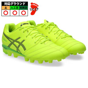 AVbNX DS LIGHT JR GS asics TbJ[ XpCN (1104A054-600)