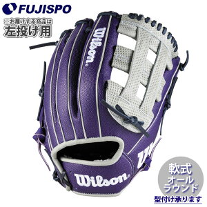 AW 一般用 W/H DUAL ユーティリティ用 DW5 Wilson 野球 ウィルソン 軟式グローブ 左投げ (WBW103815)