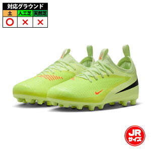 iCL JRt@g6LOWAJf~[HG NIKE TbJ[XpCN V[Y y ǂ WjA nCp[N]/ubNCCg (HQ2046-800)