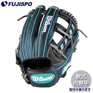 野球 ウィルソン 軟式グローブ AW 一般用 DMAX DUAL 内野手用 27 Wilson 軟式 グローブ グラブ (WBW103854)