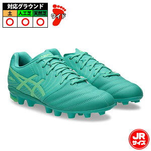 �A�V�b�N�X DS LIGHT JR GS asics �T�b�J�[�X�p�C�N �V���[�Y �y �V�R�� �l�H�� �W���j�A �L�b�Y �q�� Aurora Green/Illuminate Green (1104A054-301)