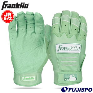 �싅 �t�����N���� �W���j�A�o�b�e�B���O�O���[�u CFX PRO HI-LITE Youth Franklin �o�b�e�B���O��� �o�b�e�B���O�O���u ���� ���ǂ� (20238)