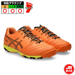 �A�V�b�N�X DS LIGHT JR GS TF asics �T�b�J�[ �t�b�g�T�� �g���[�j���O�V���[�Y �g���V���[ �^�[�t �W���j�A �L�b�Y �q�� Sun Peach/Black (1104A053-701)