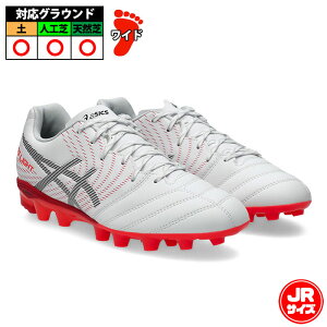 �A�V�b�N�X DS LIGHT JR GS asics �T�b�J�[�X�p�C�N �V���[�Y �y �l�H�� �V�R�� �W���j�A �L�b�Y �q�� WHITE/FLASH RED (1104A054-103)
