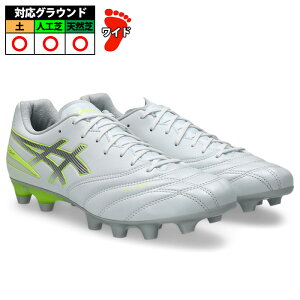 �A�V�b�N�X DS LIGHT PRO WIDE asics �T�b�J�[�X�p�C�N �V���[�Y �y �l�H�� �V�R�� ��l White/Pure Silver (1103A122-104) 261015