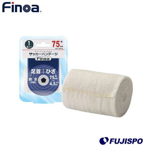 B.P TbJ[of[W (10073)tBmA(Finoa) X|[coe[W@Lkс@e[sO@T|[^[