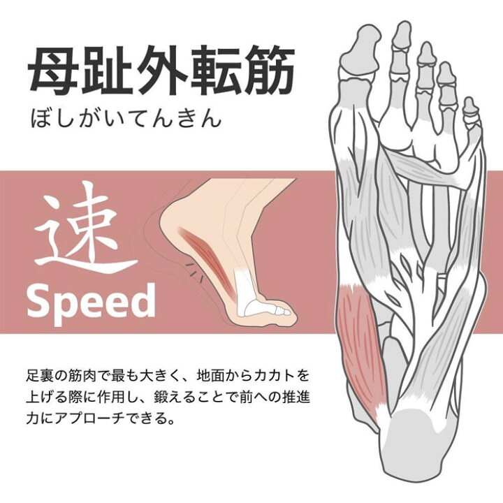 楽天市場】アクティバイタル フットサポーター プロ ファイブ Activital 【サッカー・フットサル】 アクセサリ 靴下 ソックス ストッキング グリップ 滑り止め サポーター 足裏 足首 アキレス腱 ねんざ予防 スポーツケア 5本指 アクティバイタルプロ (HRD106)【ゆう ... 楽天市場】アクティバイタル フットサポーター プロ ファイブ Activital 【サッカー・フットサル】 アクセサリ 靴下 ソックス ストッキング グリップ 滑り止め サポーター 足裏 足首 アキレス腱 ねんざ予防 スポーツケア 5本指 アクティバイタルプロ (HRD106)【ゆう ...