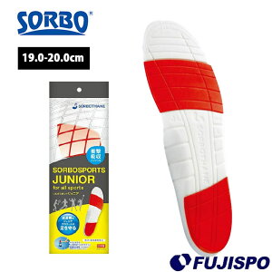 \{ \{X|[cWjA 19.0-20.0cm SOLBO yTbJ[EtbgTz ANZT C\[ ~ WjA Jr X|[c V[Y  ƃgu (61200)