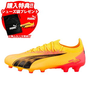 yzv[} Eg AeBbg HG/AG PUMA yTbJ[EtbgTz V[Y TbJ[XpCN l Y y lH SUN STREAM (107748-03)[2410fbf]