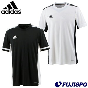 AfB_X 31 MI TEAM19 TVc M adidas I[X|[cEFA vNeBXVc vVc Q[Vc  Y l (DW6753Z)