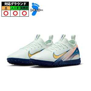 �y�����z�i�C�L JR �Y�[�����F�C�p�[ 16 �A�J�f�~�[ MDS TF nike �T�b�J�[ �t�b�g�T�� �V���[�Y �y �l�H�� �V�R�� �x�A���[�O���[��/���^���b�N�S�[���h�R�C�� (FZ1613-300)