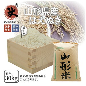 はえぬき 30kg 送料無料 お米 コメ 山形県産 令和2年産 精米 玄米 無洗米