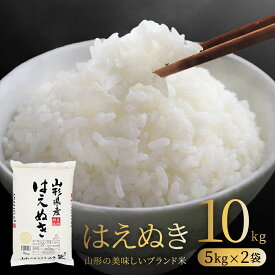 お米 コメ はえぬき 10kg 無洗米 精米 送料無料 山形県産 令和7年産 5kg×2袋