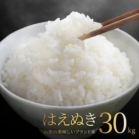 はえぬき 30kg 送料無料 お米 コメ 山形県産 令和7年産 精米 玄米 無洗米