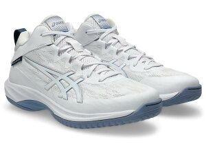 �A�V�b�N�X asics ���j�Z�b�N�X �o�X�P�b�g�{�[�� �V���[�Y �Q���t�[�v V17 �G�N�X�g�����C�h GELHOOP V17 EXTRA WIDE 1063A097 106�J���[ �o�b�V��