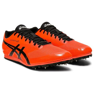 AVbNX XpCN  nCp[ LD 6 1093A089 701J[ y