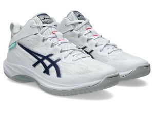 �A�V�b�N�X asics �o�X�P�b�g�{�[�� �V���[�Y �Q���t�[�v V17 �X�^���_�[�h GELHOOP V17 STANDARD 1063A096 104�J���[