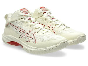 AVbNX asics oXPbg{[ V[Y Qt[v V17 X^_[h GELHOOP V17 STANDARD 1063A096 750J[ AC{[ obV y