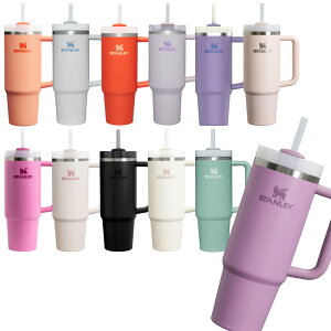 X^[ STANLEY H2.0 ^XNG`[ 0.88L  ۗ }O{g AEghA yNXJg[XL[X܁z