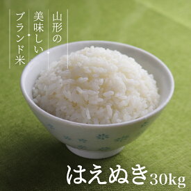 はえぬき 30kg 送料無料 お米 コメ 山形県産 令和5年産 精米 玄米 無洗米