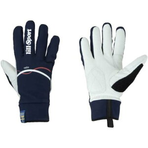 X|[c LILLSPORT NXJg[XL[ O[u VI 0411 yNXJg[XL[X܁z