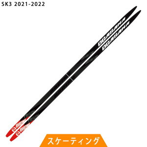 IKTJXL[ OGASAKA SKI NXJg[XL[  XP[eBO SK3 2021-2022f yNXJg[XL[X܁z