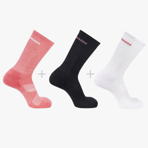 T SALOMON }`X|[c\bNX C SOCKS EVERYDAY CREW 3-PACK TEA ROSE/DEEP LC1982300 yNXJg[XL[X܁z