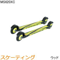 楽天市場】ローラースキー クラシカルの通販