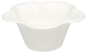  XJbv ~j t[ W A[Xpv[h ~jt[ XJbv 1 800  lC t[ XJbv ĝ eCNAEg XJbv XJbv X