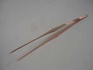 XeX sNS[h VFtgO 21cmtgO 蔢gO sZbg { t  hg gO gO tp gO pgO 蔢 t