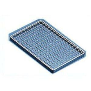 n t iA~jp^ tA~ Ƃ񂩂A~ lCƂ񂩂  VՂ Vw ̔  gJc g t t t g t 