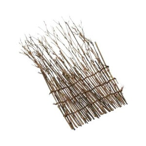 |  | VR |X_ i aH tX_ 齓 hg t    荞ݒ|  hg  i 荞 ݎM hgM iM 