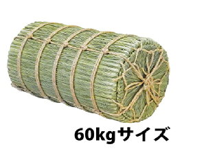 �ĕU 60kg�p ���߂���� �f�B�X�v���C �� �U �ĕU 60kg �f�B�X�v���C �W���p �ĕU �W���ĕU �f�B�X�v���C�p�ĕU �l�C �� ��ĕU �ĕU �ĕU�f�B�X�v���C �W���p�ĕU �W���ĕU ���Y�ĕU ����