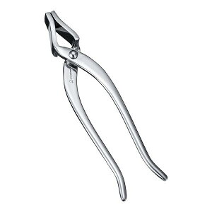 XeX bgR 229mm Ƃ ƂcJ~ Ƃ nT~ ƂoT~ bgRcJ~ bgR ƂcJ~ nT~  cJ~   cJ~ 