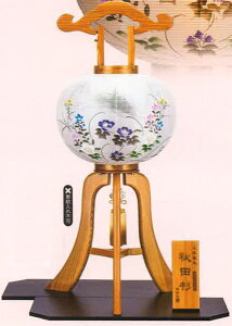 ~ ~傤 Y ؐ  s ~ V~ sPREMIUM collectiontw Hc 12(ړ) s d ui1΁j { Yx