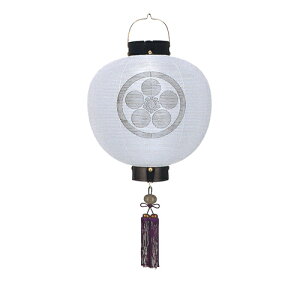 ~ ~傤 Ɩ  ~ V~ w  ی^ d(n) 13(ڎO) R[hx[42cm×S76cm×(Α܌a)39cmn