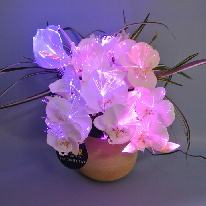 楽天市場】盆提灯花 ルミナスアレンジ胡蝶蘭 DX LED 1個 高さ52cm 