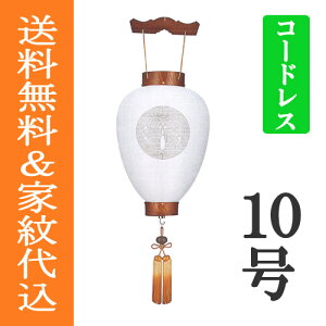 ~ ~傤 Ɩ  ~ V~ w ،^@₫@d@ʈꍆ()R[hX@PxLEDx[46cm×S90cm×(Α܌a30cm)]