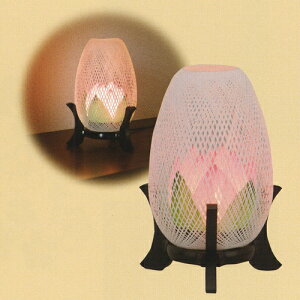 ~ ~傤 _ CeA w ԁ@@؁@24cmx