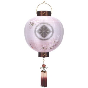 ~ ~傤 Ɩ  ~ V~ w  ی^ G() d 11(ʈ) R[hx[38cm×S70cm×(Α܌a)33cm]