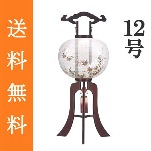 ~ ~傤  u ~ V~ w s  ؐij  d 12iړj 1x[91cm×iΑ܌aj35cmn