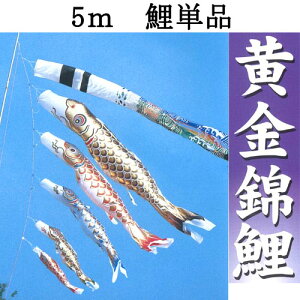 ̂ڂ ̂ڂ Pi C ǉp iCwь ̂ڂ Pi 5m tx