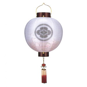 ~ ~傤 Ɩ  ~ V~ w  ی^ () d 15(ڌ) R[hx[51cm×S97cm×(Α܌a)45cm]