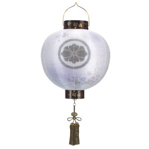 ~ ~傤 Ɩ  ~ V~ w  ی^ hG d 15(ڌ) R[hX PxLEDx[51cm×S97cm×(Α܌a)45cm]