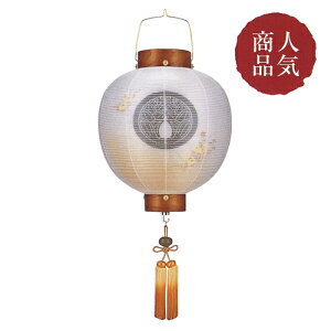 ~ ~傤 Ɩ  ~ V~ w  ی^ ₫(G) d 13(ڎO) R[hx[42cm×S76cm×(Α܌a)39cm]