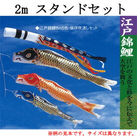 鯉のぼり　江戸錦鯉スタンドセット　2mセット