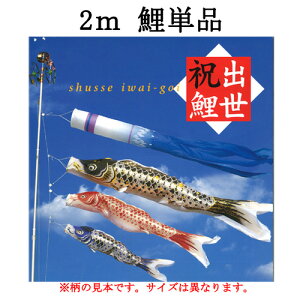 ̂ڂ ̂ڂ Pi C ǉp iCwoj ̂ڂ Pi@2m tx