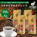 【2セット購入で1袋プレゼント】藤田珈琲 コーヒー豆 500g 4個セット 2kg コーヒー 豆 粉 業務用 大容量 自家焙煎 モカコーヒー エチオピアモカブレンド 中挽き ブレンド 送料無料 珈琲 カフェ用 家庭用