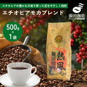 藤田珈琲 コーヒー豆 500g コーヒー 豆 自家焙煎 モカコーヒー エチオピアモカブレンド 中挽き ブレンド 送料無料 珈琲 カフェ用 家庭用 お試し アイスコーヒー
