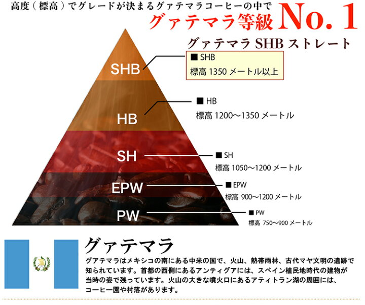 着後レビューで 送料無料 送料無料 グァテマラSHB 500g コーヒー豆 珈琲 コーヒー materialworldblog.com 着後レビューで 送料無料 送料無料 グァテマラSHB 500g コーヒー豆 珈琲 コーヒー materialworldblog.com
